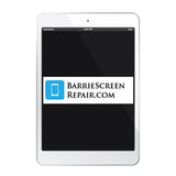 Apple iPad Mini 1-3rd Generation Screen Repair Service (Black/White)